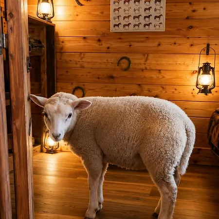 木屋 Les Ecuries Du Ranch Les Cresnays