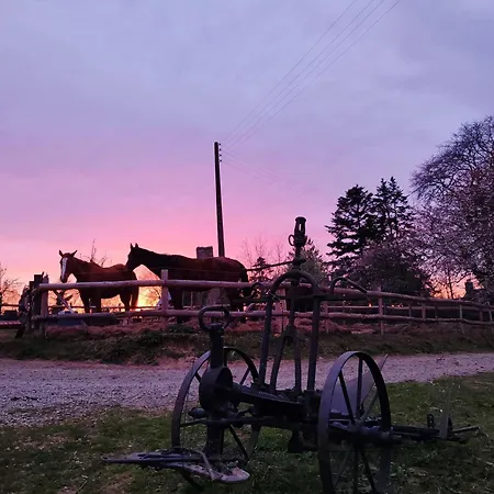 Les Ecuries Du Ranch