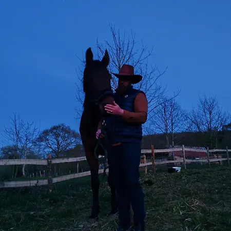 Les Ecuries Du Ranch 木屋 Les Cresnays