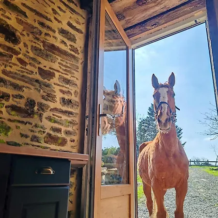 Les Ecuries Du Ranch