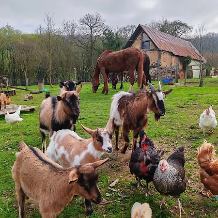Les Ecuries Du Ranch