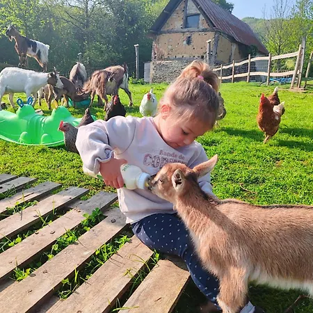 Les Ecuries Du Ranch * Les Cresnays