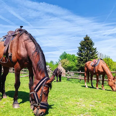 Les Ecuries Du Ranch * Les Cresnays